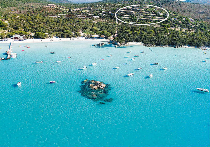 Corse